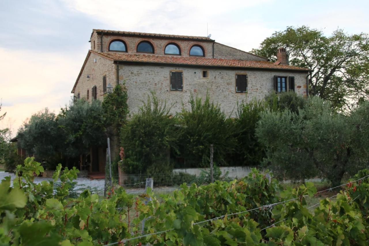 Podere Campo Alle Serpi Bibbona Exterior foto