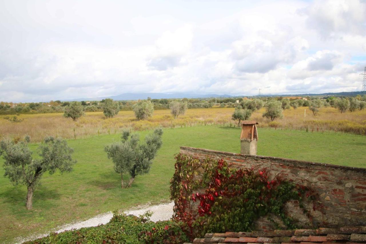 Podere Campo Alle Serpi Bibbona Exterior foto