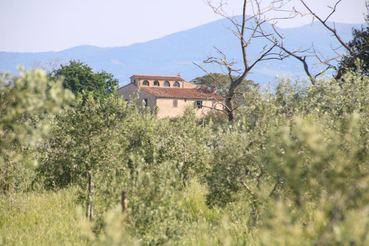 Podere Campo Alle Serpi Bibbona Exterior foto