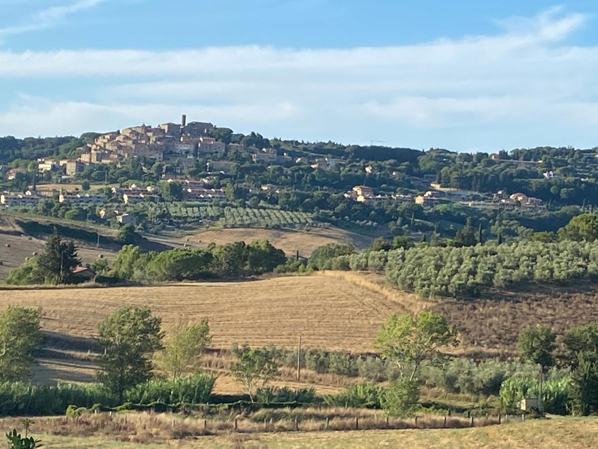 Podere Campo Alle Serpi Bibbona Exterior foto