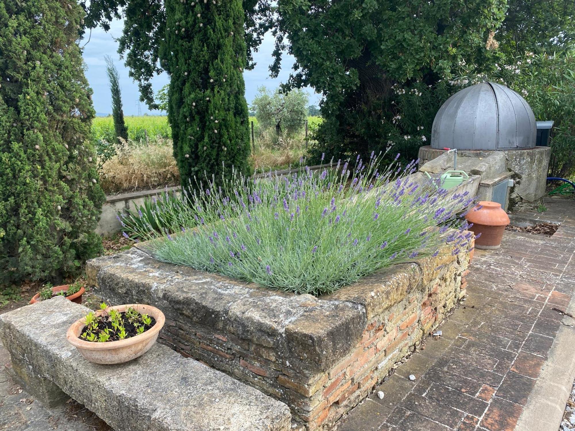 Podere Campo Alle Serpi Bibbona Exterior foto