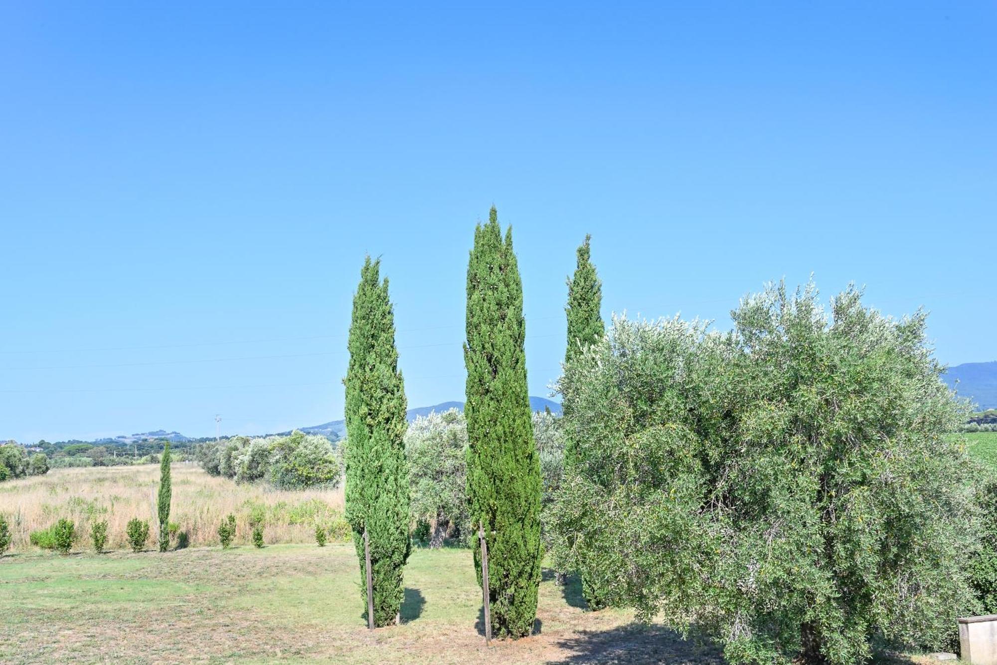 Podere Campo Alle Serpi Bibbona Habitación foto