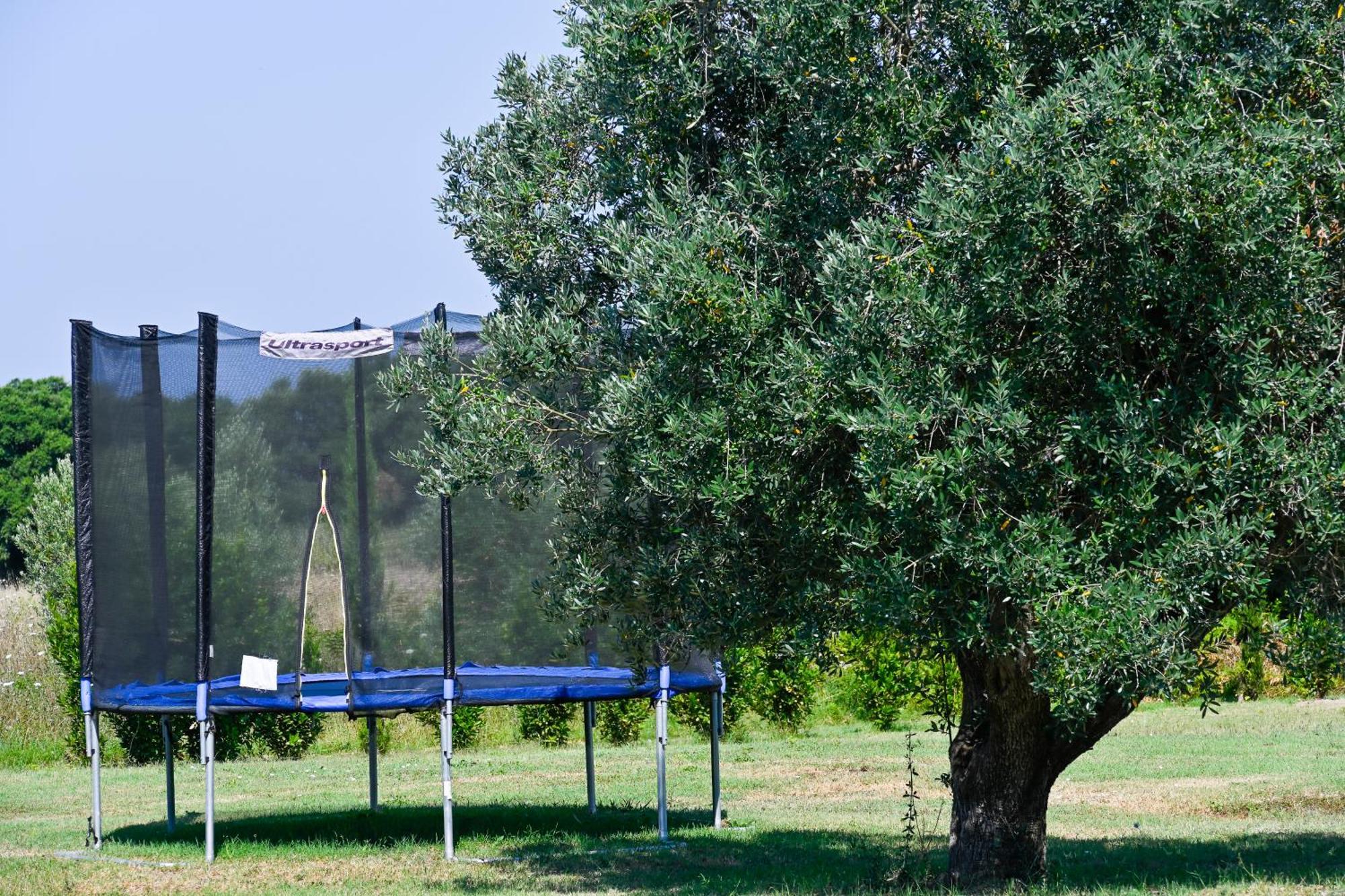 Podere Campo Alle Serpi Bibbona Exterior foto