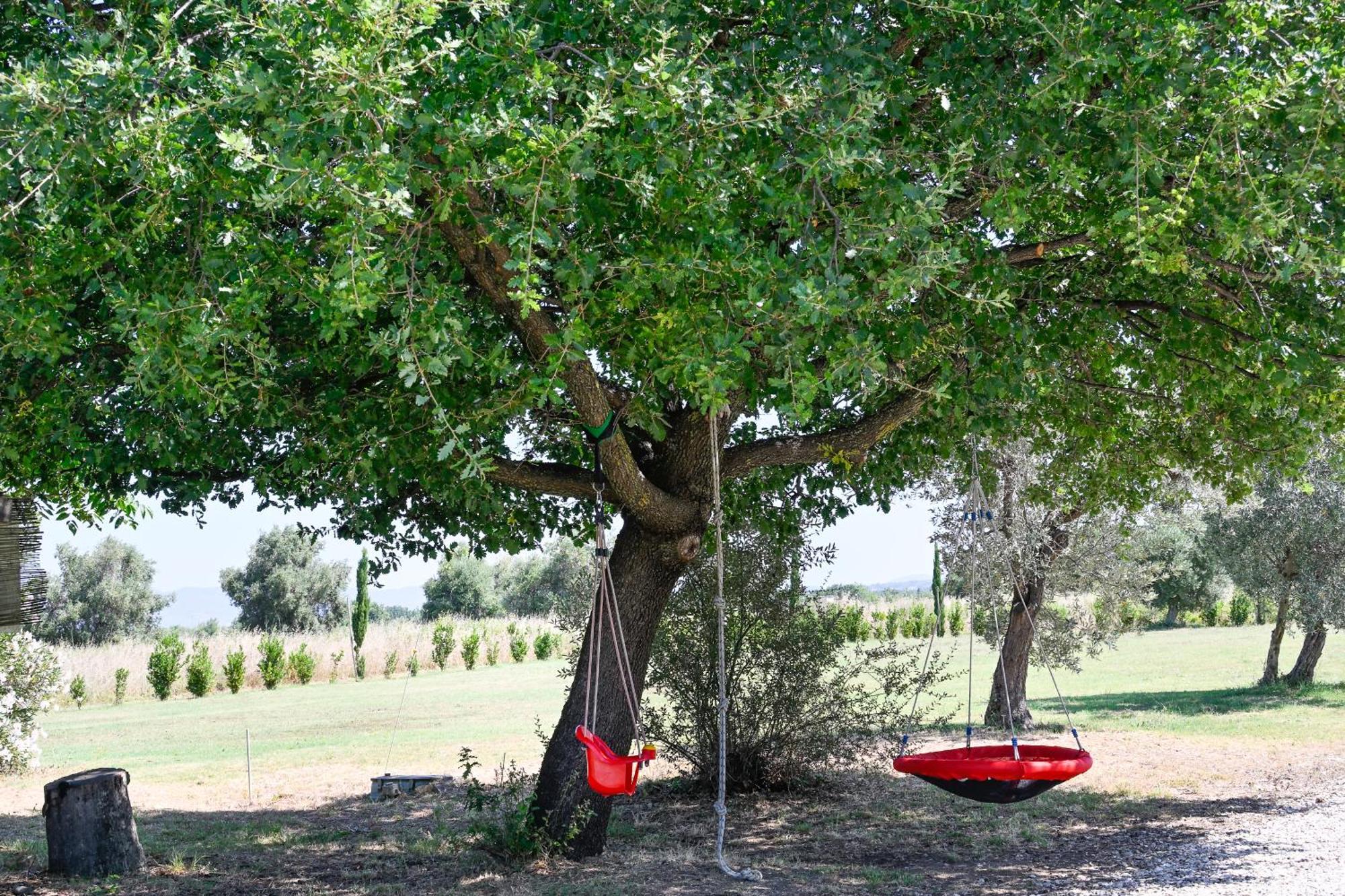 Podere Campo Alle Serpi Bibbona Exterior foto